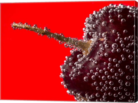 Framed Cherry Covered In Water Drops II Print