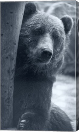 Framed Grizzly Print