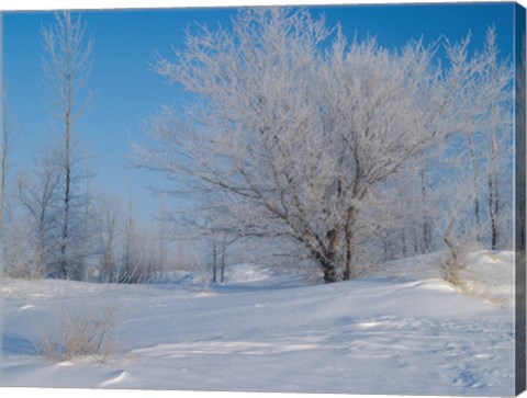 Framed Snow Terrain III Print