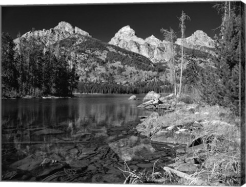 Framed Grand Teton 1 Print
