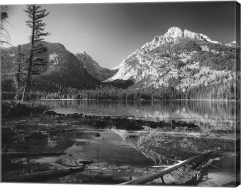 Framed Grand Teton 4 Print