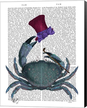 Framed Dandy Crab Print