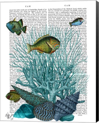 Framed Fish Blue Shells and Corals Print