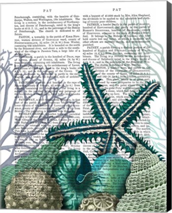 Framed Starfish Under the Sea Print