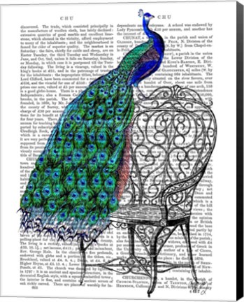 Framed Peacock on Chair Print