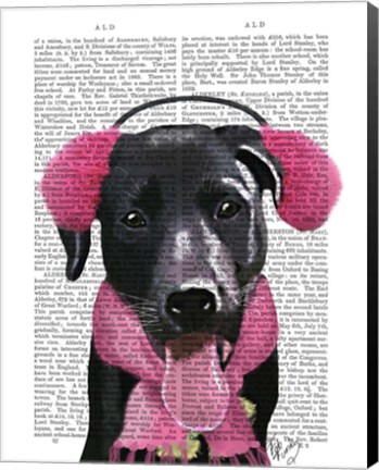 Framed Black Labrador With Ear Muffs Print