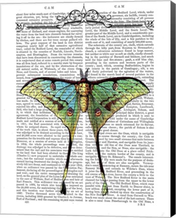 Framed Butterfly 1 Print