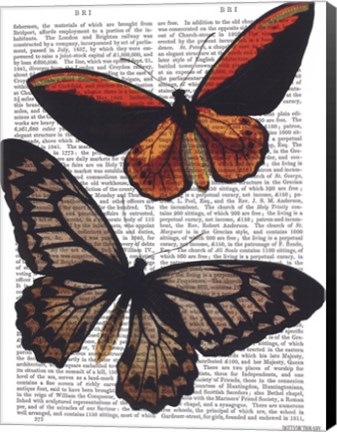 Framed Butterflies 2 Print