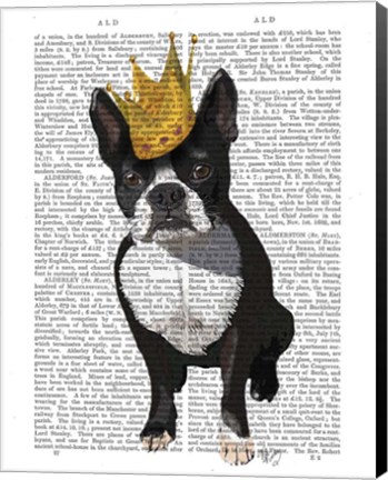 Framed Boston Terrier And Crown Print