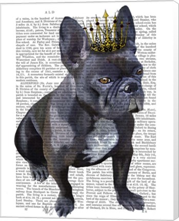 Framed French Bulldog King Print