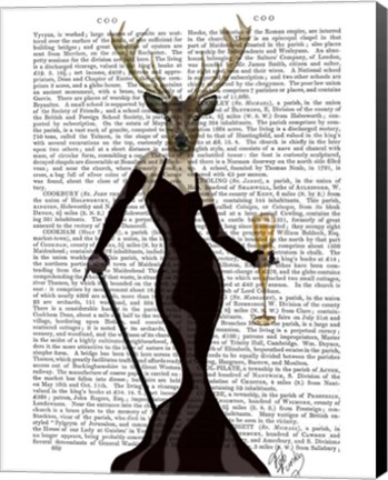 Framed Glamour Deer in Black Print