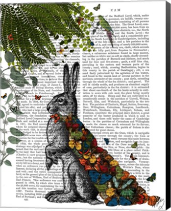 Framed Hare with Butterfly Cloak Print