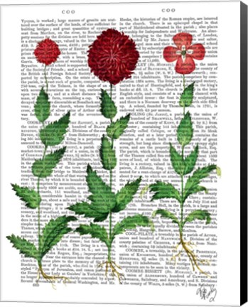 Framed Italian Carnation 2 Print