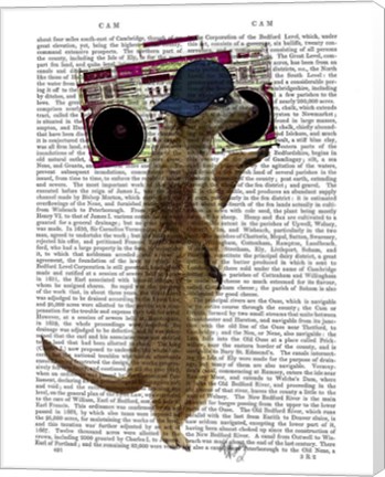 Framed Meerkat with Boom Box Ghetto Blaster Print