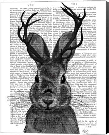 Framed Jackalope with Grey Antlers Print