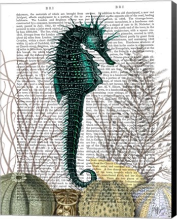 Framed SeaHorse and Sea Urchins Print