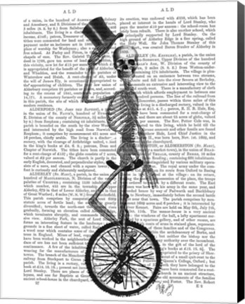 Framed Skeleton on Unicycle Print