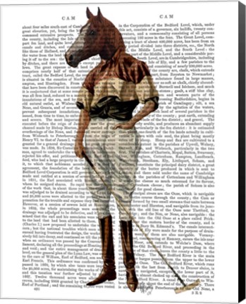 Framed Polo Horse Full Print