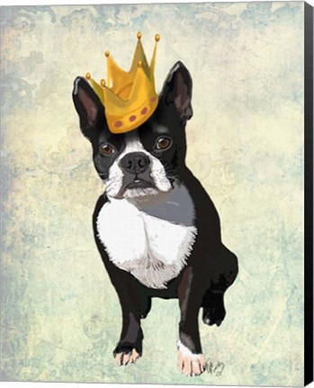 Framed Boston Terrier and Crown Print