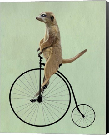 Framed Meerkat on Black Penny Farthing Print