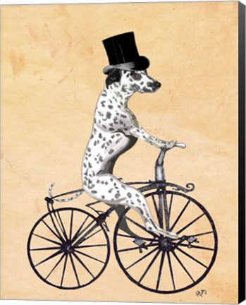 Framed Dalmatian On Bicycle Print