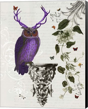 Framed Purple Owl With Antlers Print