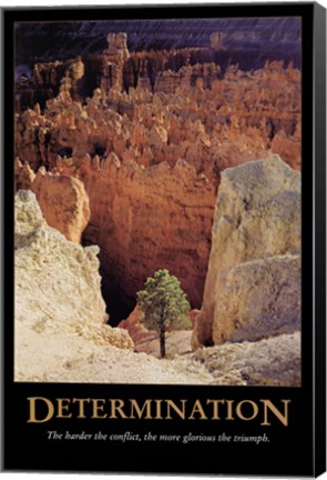 Framed Determination Print