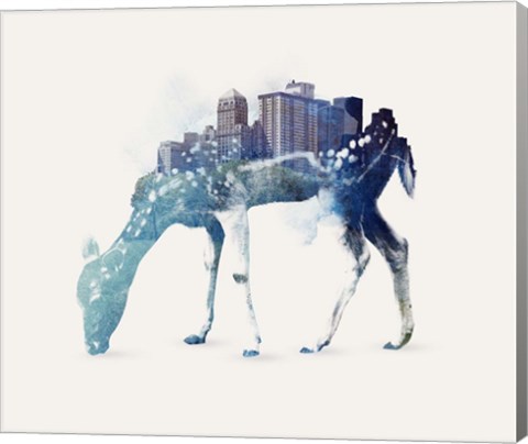 Framed City Deer Print