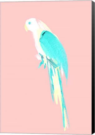 Framed Summer Parrot Print