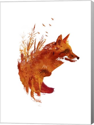 Framed Plattensee Fox Print