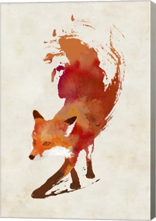 Framed Vulpes Vulpes Print