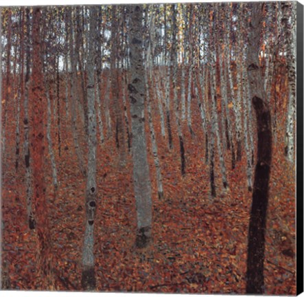 Framed Forrest Of Beech Trees Print