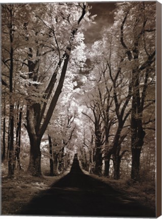 Framed Country Road II Print