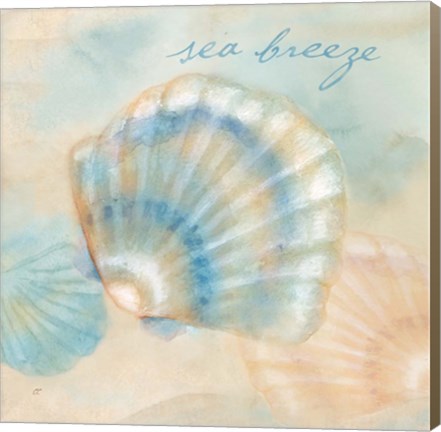 Framed Watercolor Shell Sentiments I Print