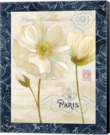 Framed Paris Poppies w/Navy Border II Print