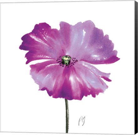 Framed Poppies Tempo III Print