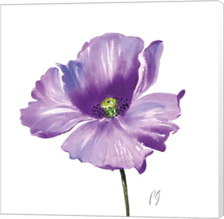 Framed Poppies Tempo IV Print