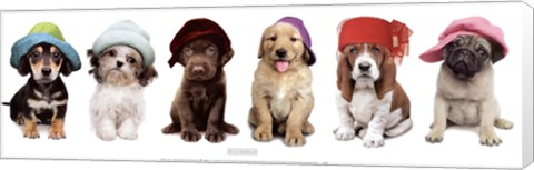 Framed Hat Hounds Print