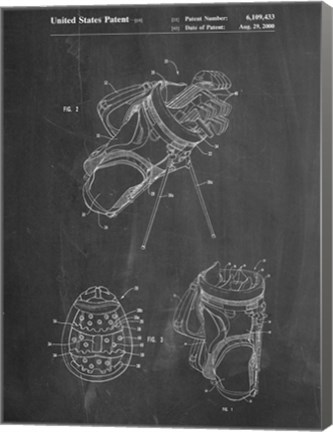 Framed Golf Bag Print