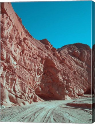 Framed Anza Borrego Trail Print