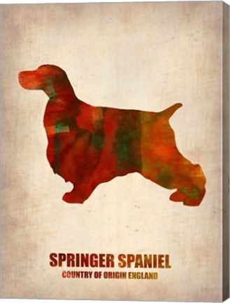 Framed Springer Spaniel 2 Print