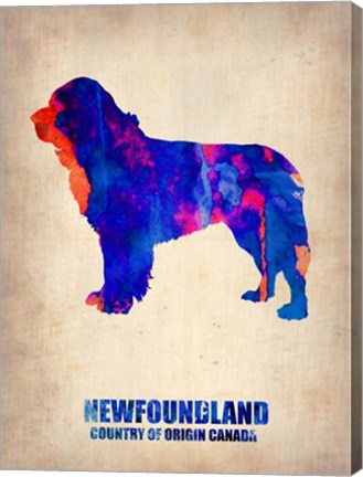 Framed Newfoundland 2 Print