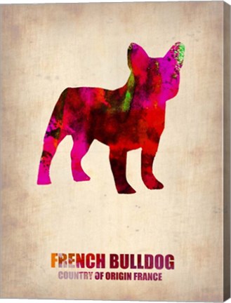 Framed French Bulldog Print