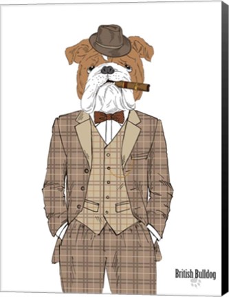 Framed British Bulldog In Tweed Suit Print