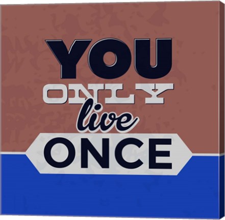 Framed You Only Live Once 1 Print