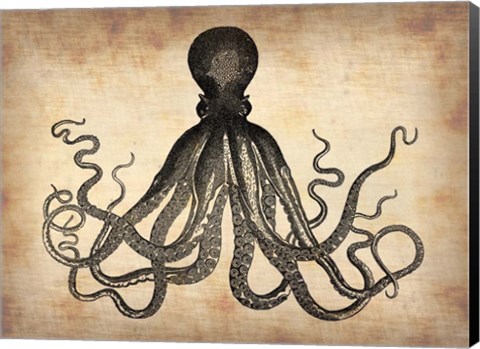 Framed Vintage Octopus Print