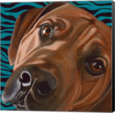 Framed Dlynn&#39;s Dogs - Bunsen Print