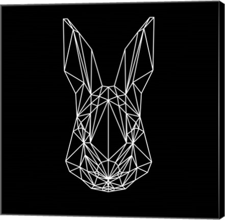 Framed Rabbit on Black Print