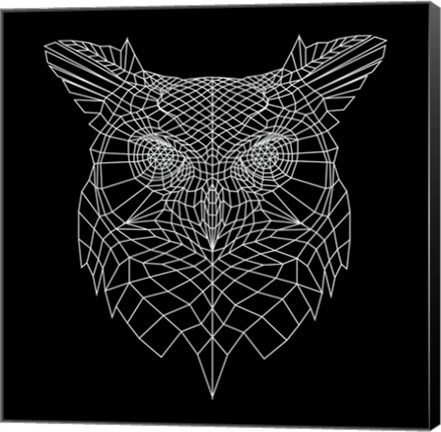 Framed Black Owl Mesh Print