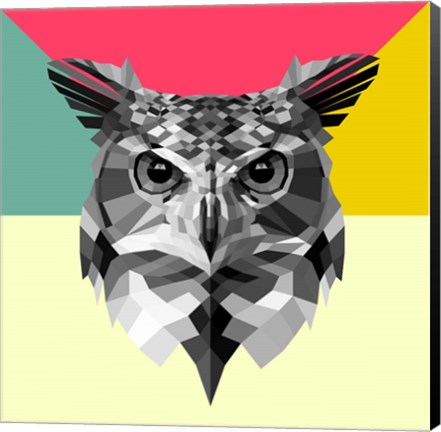 Framed Owl Head Print